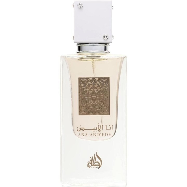 60 ml Eau de Perfume Ana Abiyedh Kořeněná Oudová Vůně pro Muže