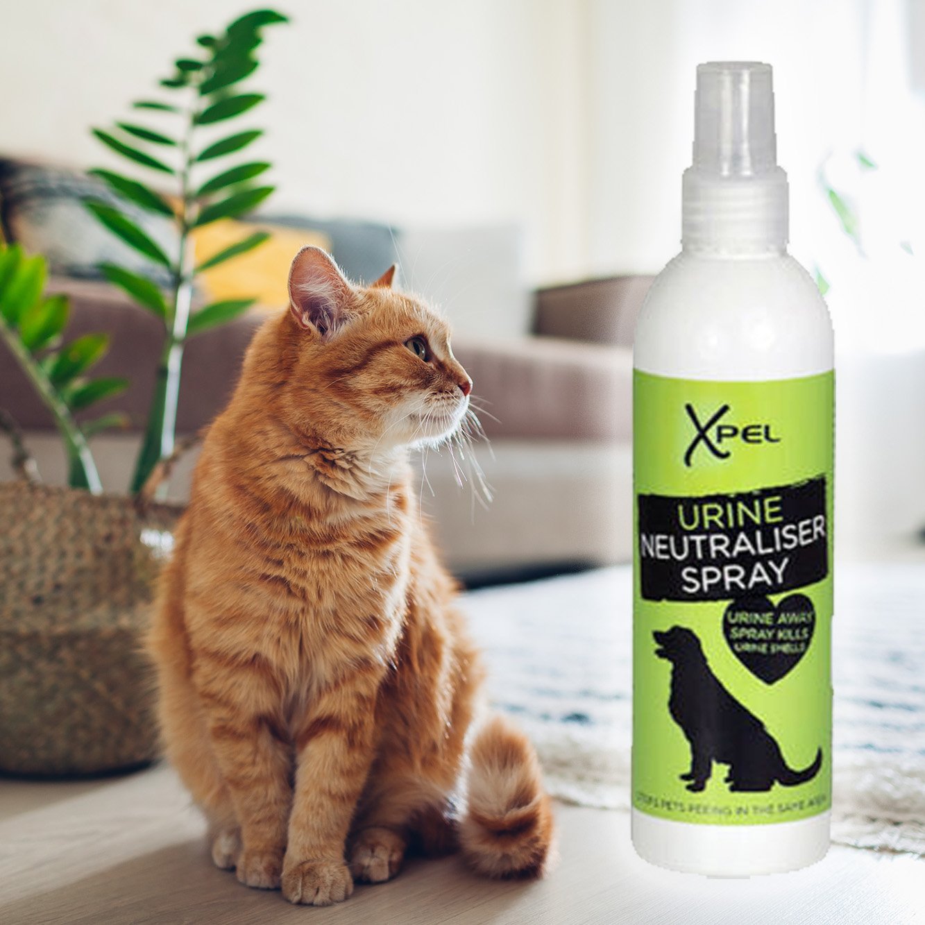 Neutralizační sprej na Zvířecí Moč - 250 ml