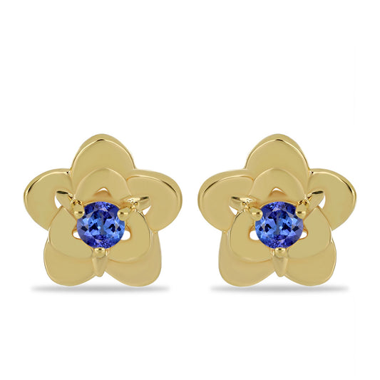 Pozlacené Stříbrné Náušnice s Tanzanitem