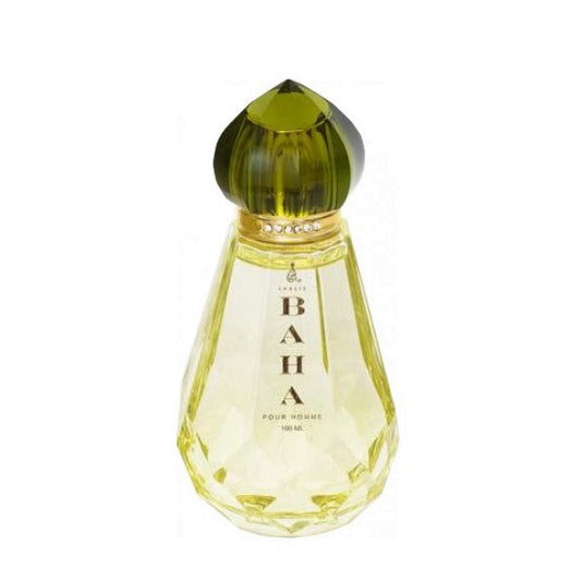 100 ml Eau de Parfume Baha svěží citrusová dřevitá Vůně pro muže