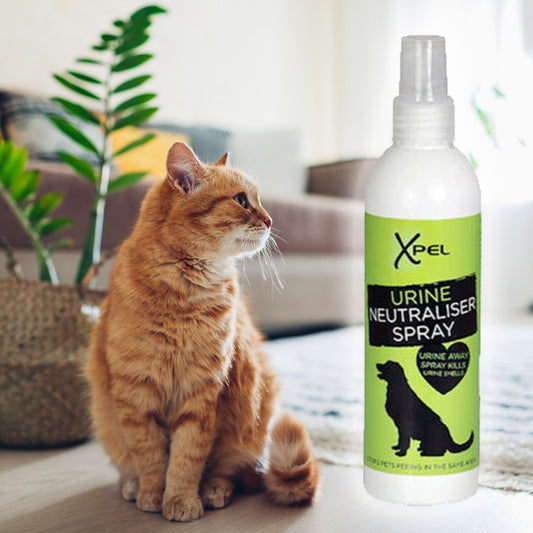 Neutralizační sprej na Zvířecí Moč - 250 ml